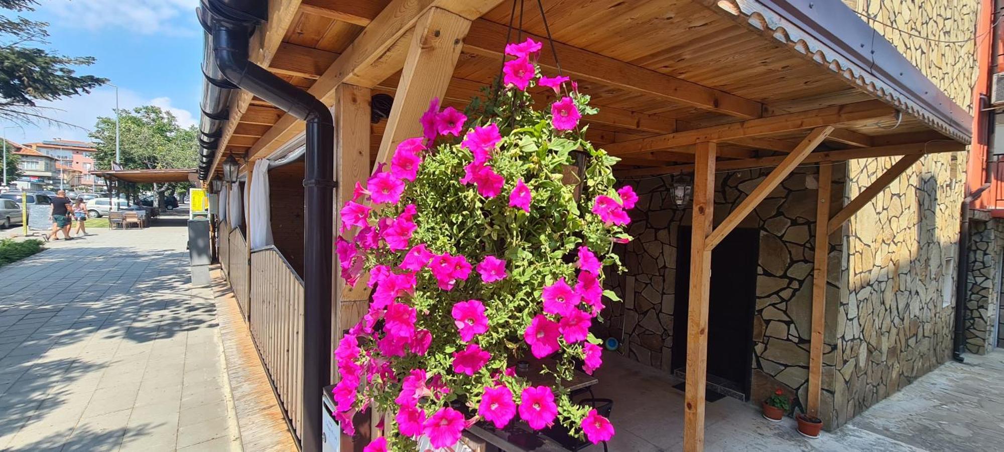 Sineva Guest House 라브다 외부 사진
