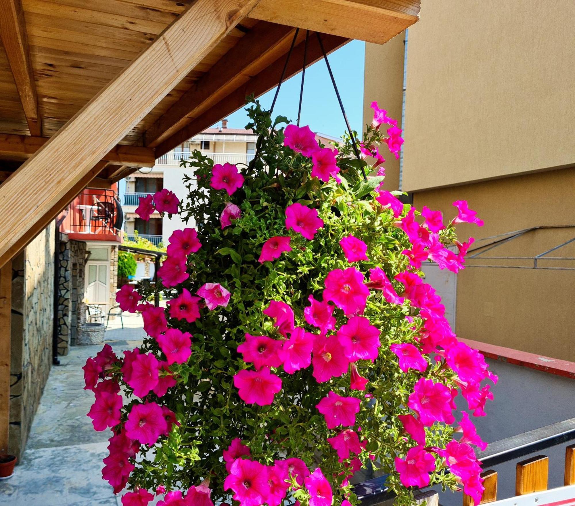 Sineva Guest House 라브다 외부 사진